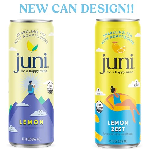Sparkling Adaptogen Drink