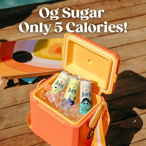 Sparkling Adaptogen Drink
