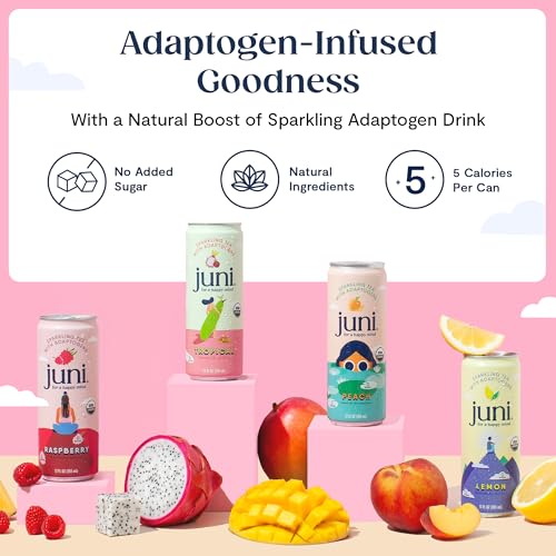 Sparkling Adaptogen Drink