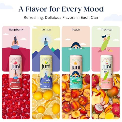 Sparkling Adaptogen Drink