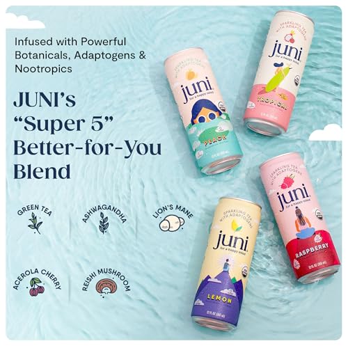 Sparkling Adaptogen Drink