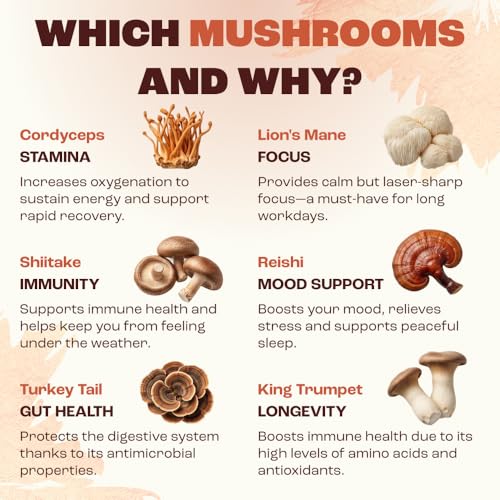 Organic Mushroom Coffee