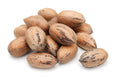 Raw Pecans in Shell