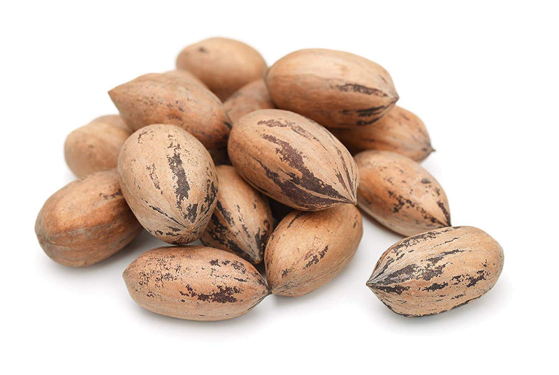 Raw Pecans in Shell