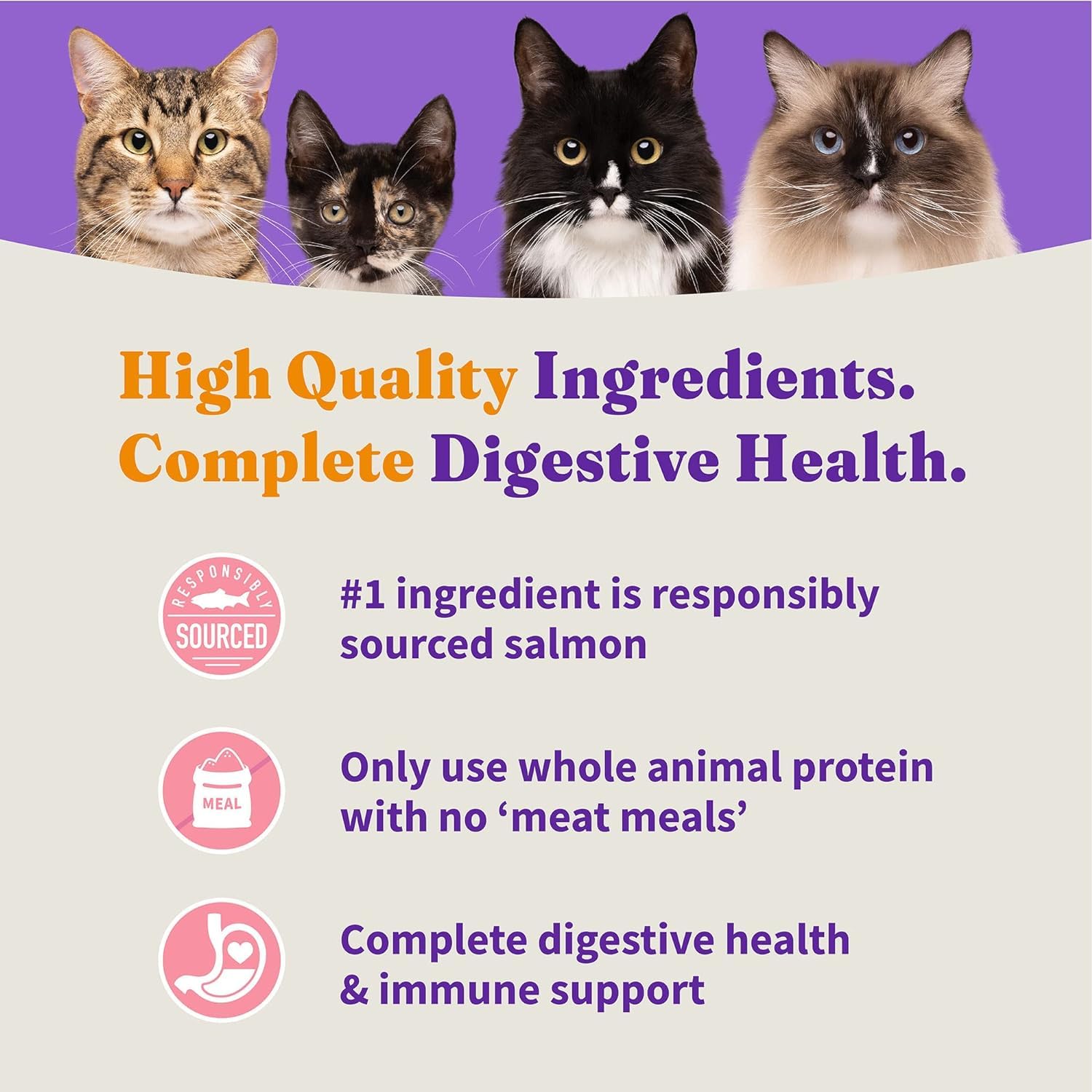 Halo Holistic cat Food Dry