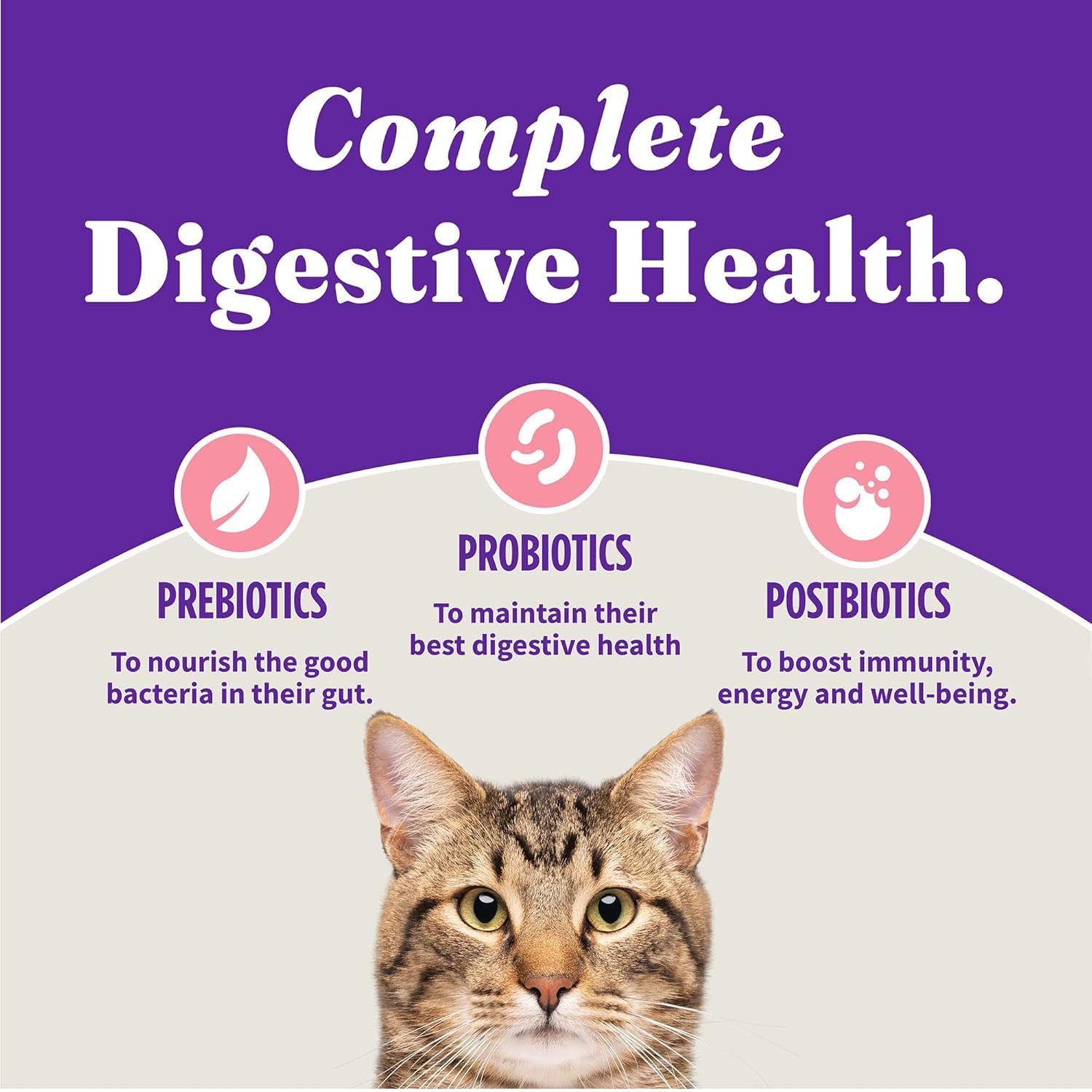 Halo Holistic cat Food Dry
