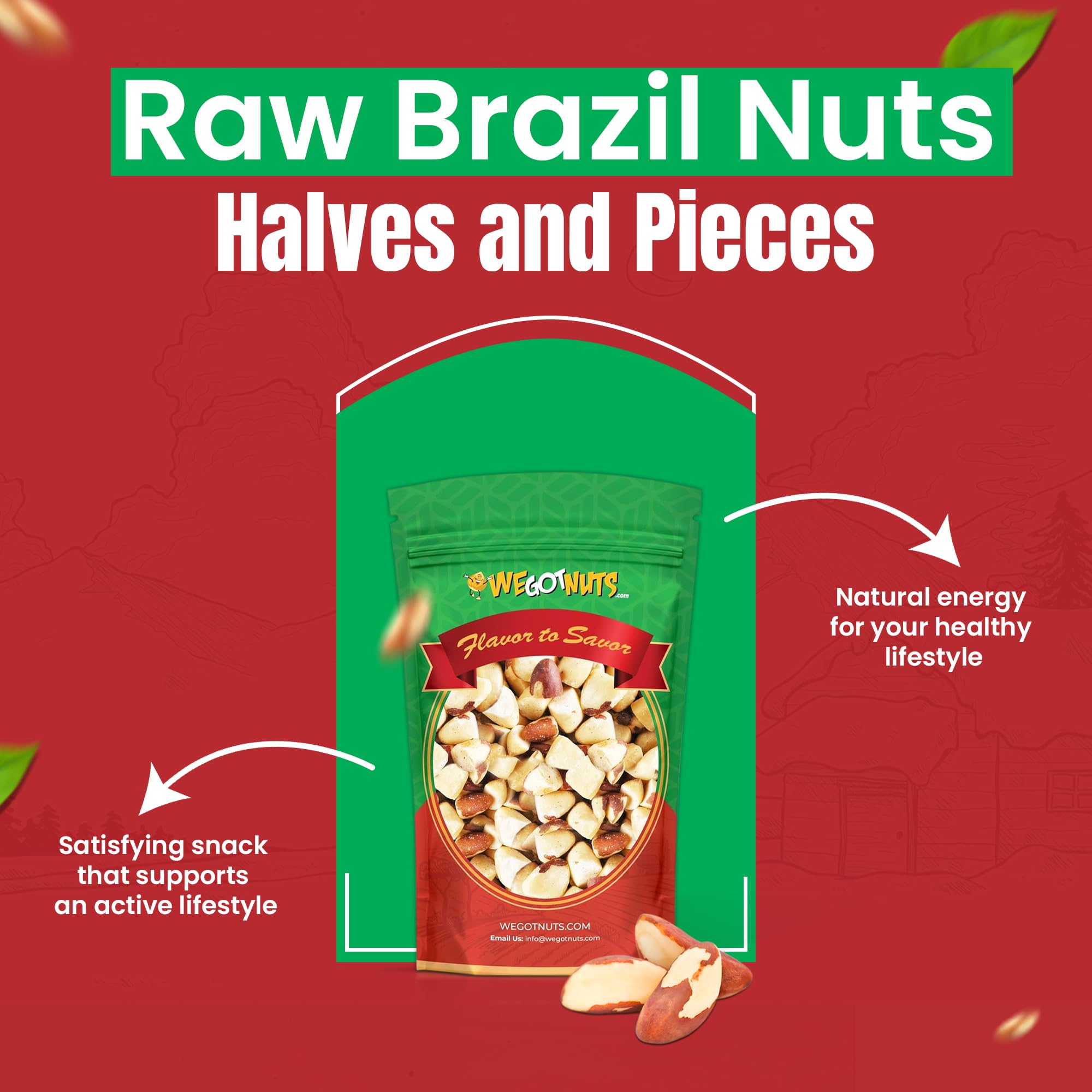 Raw Brazil Nuts