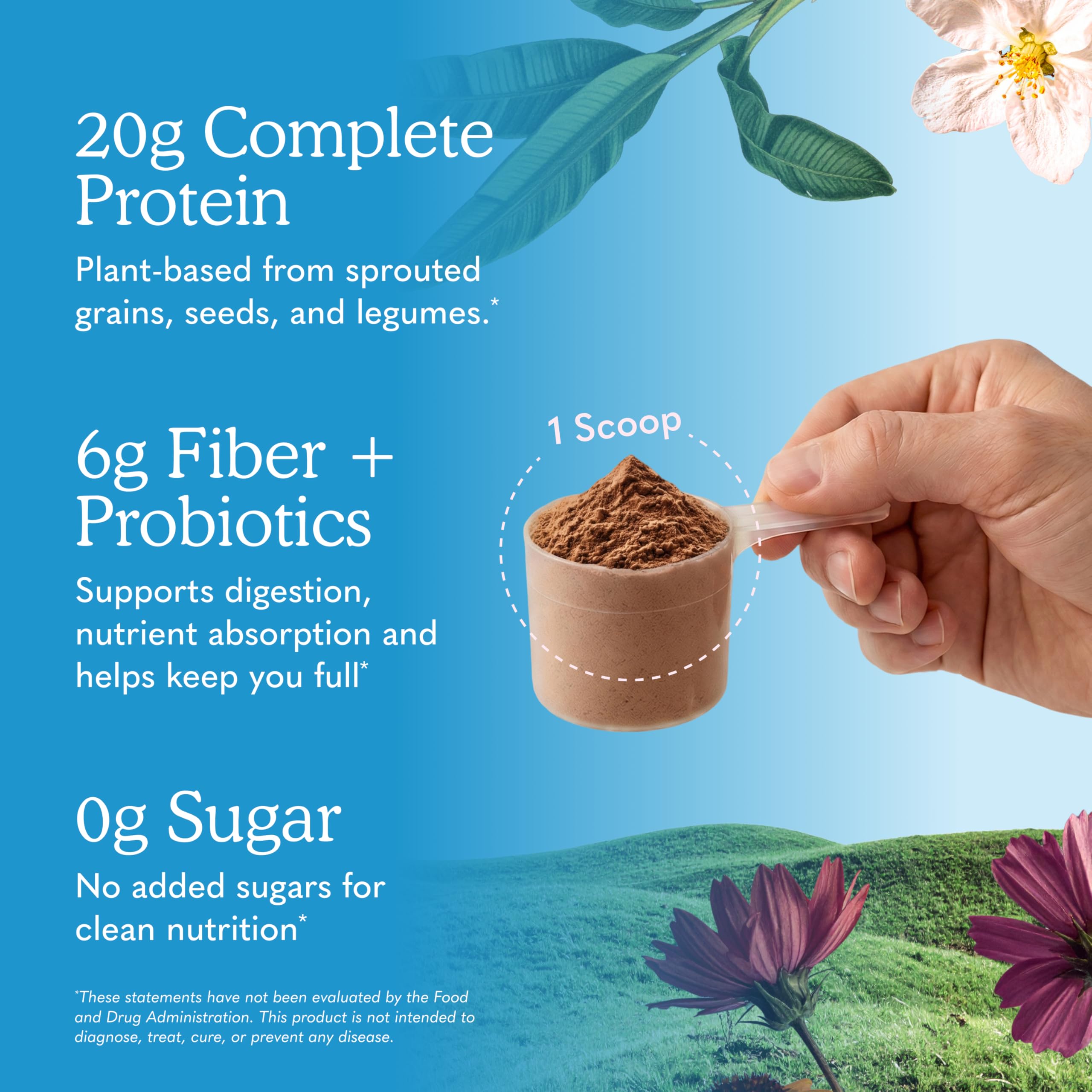 Vanilla Organic Meal Powder
