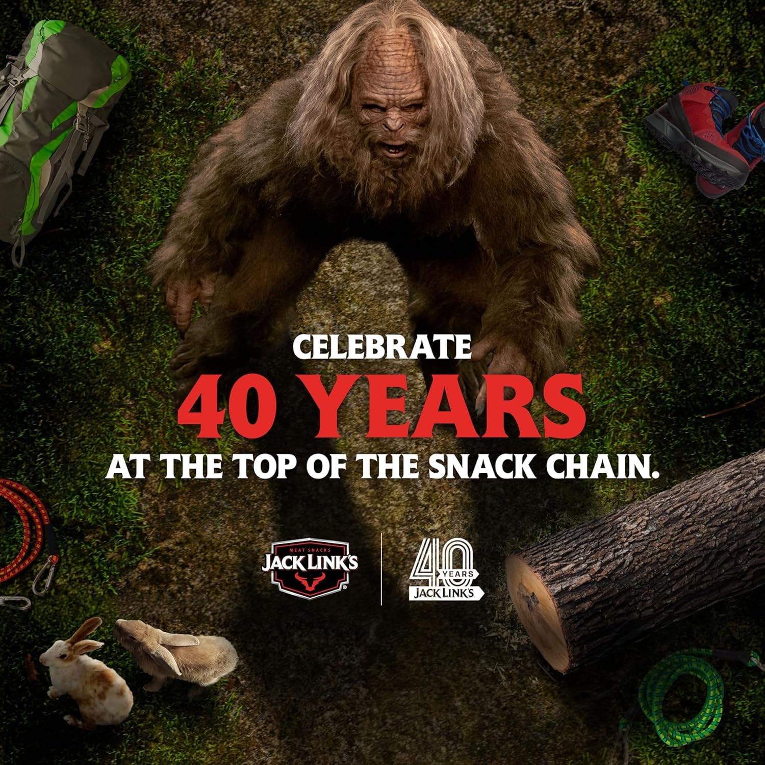 Jack Link's Teriyaki Beef Jerky Multipack