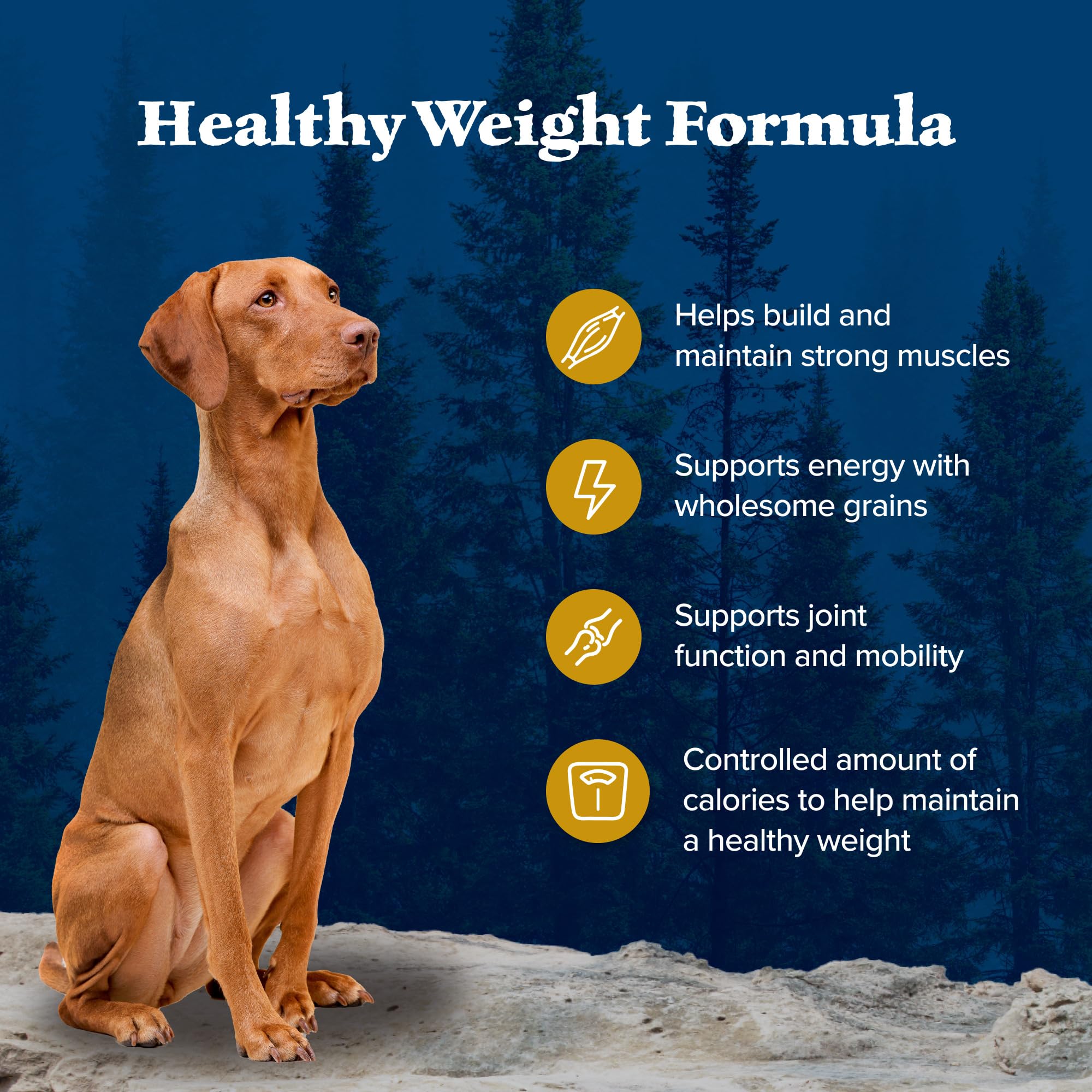 Healthy Weight Dry Dog Food