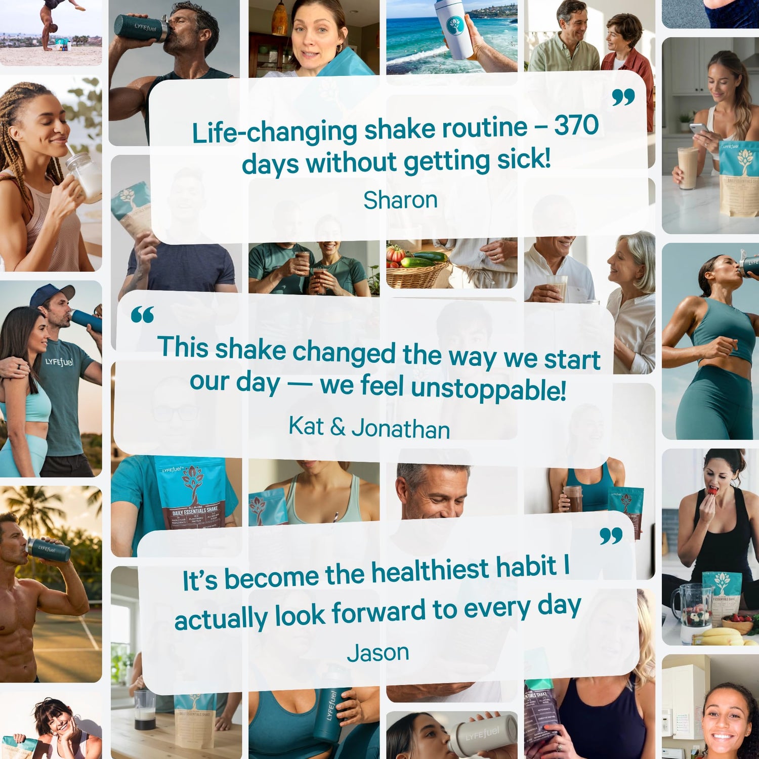 Plant-Based Meal Replacement Powder