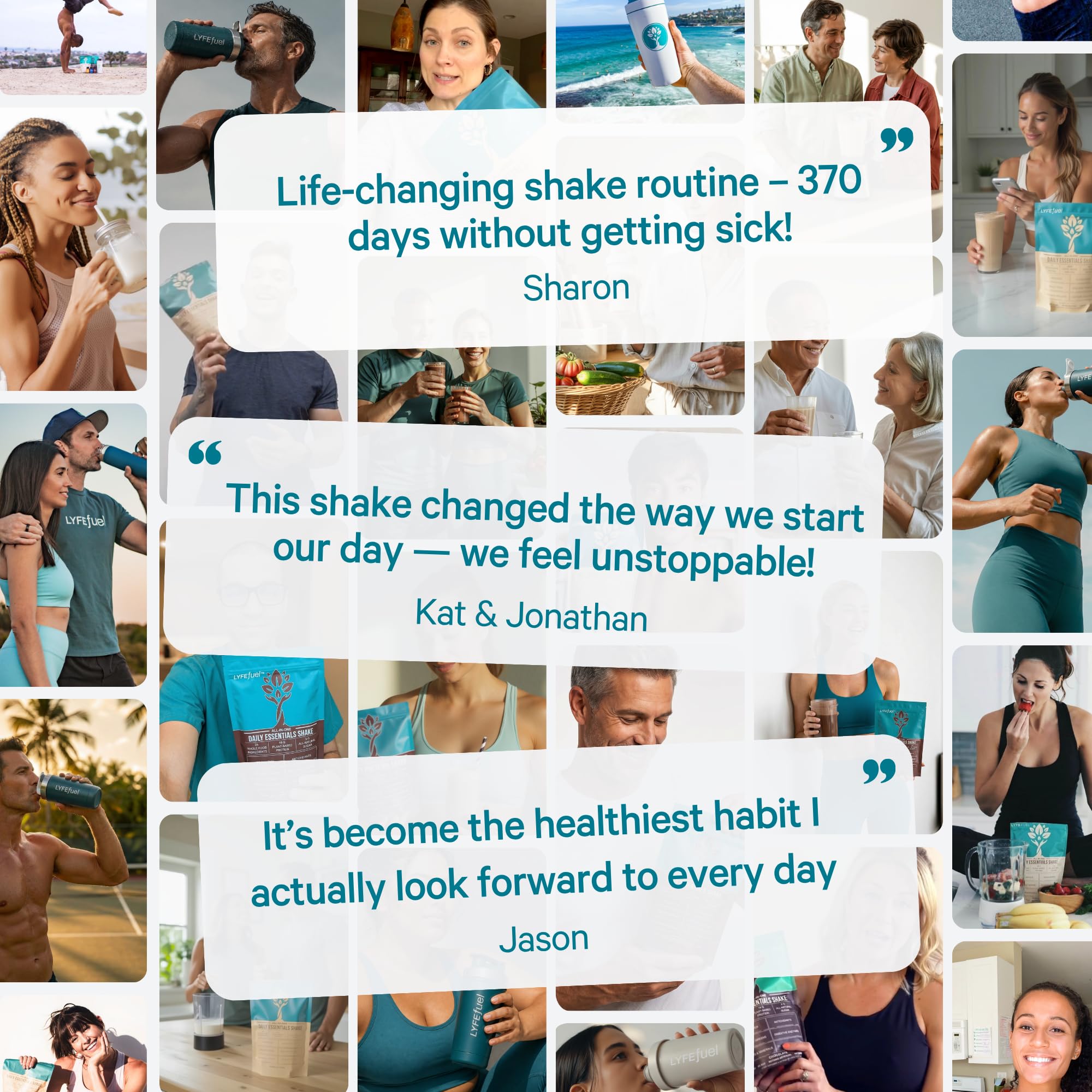 Plant-Based Meal Replacement Powder