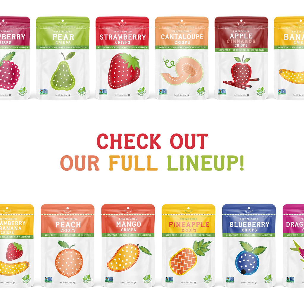 Nature's Turn Freeze-Dried Fruit Snacks, 0.53 oz Each