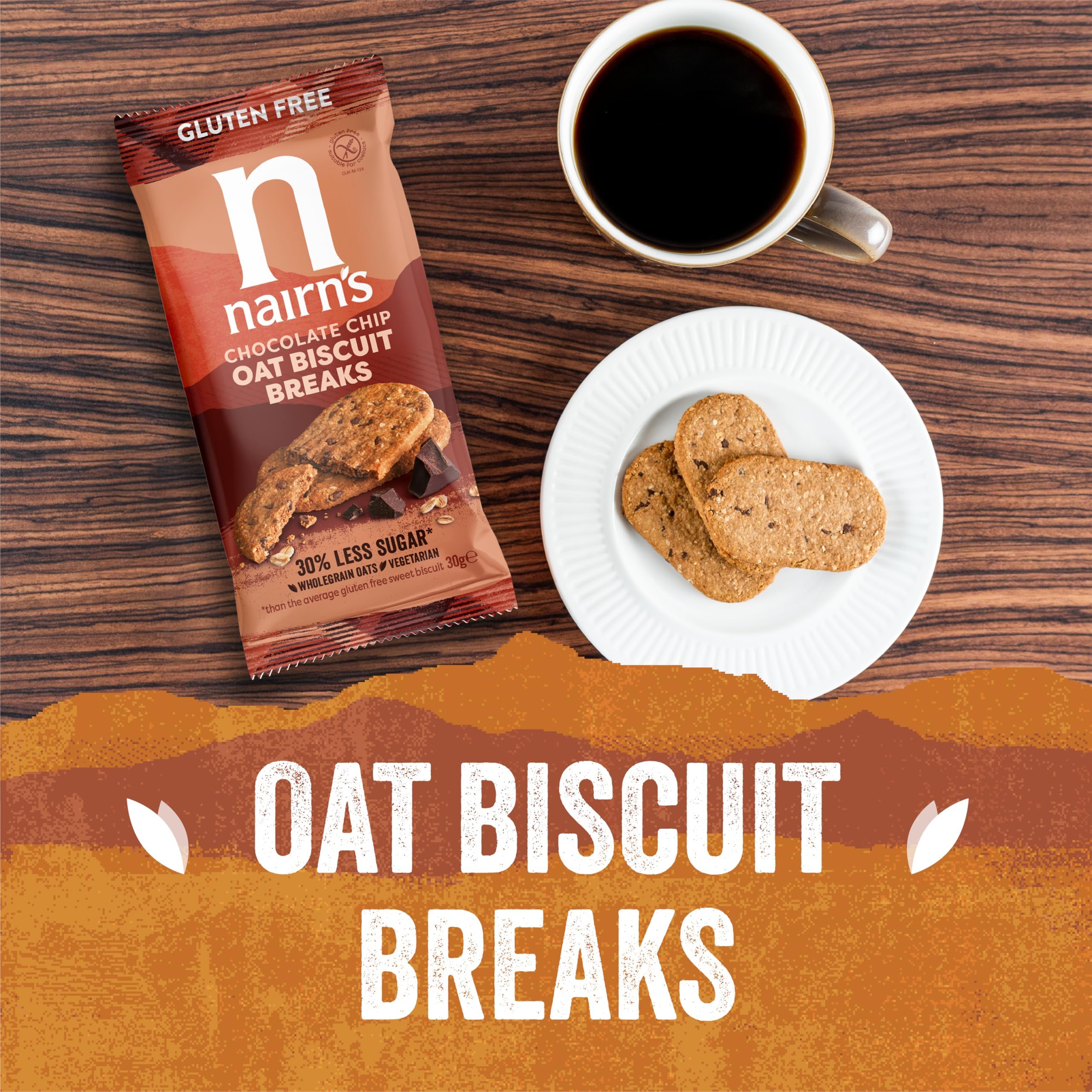 Gluten Free Chocolate Chip Oat Biscuits